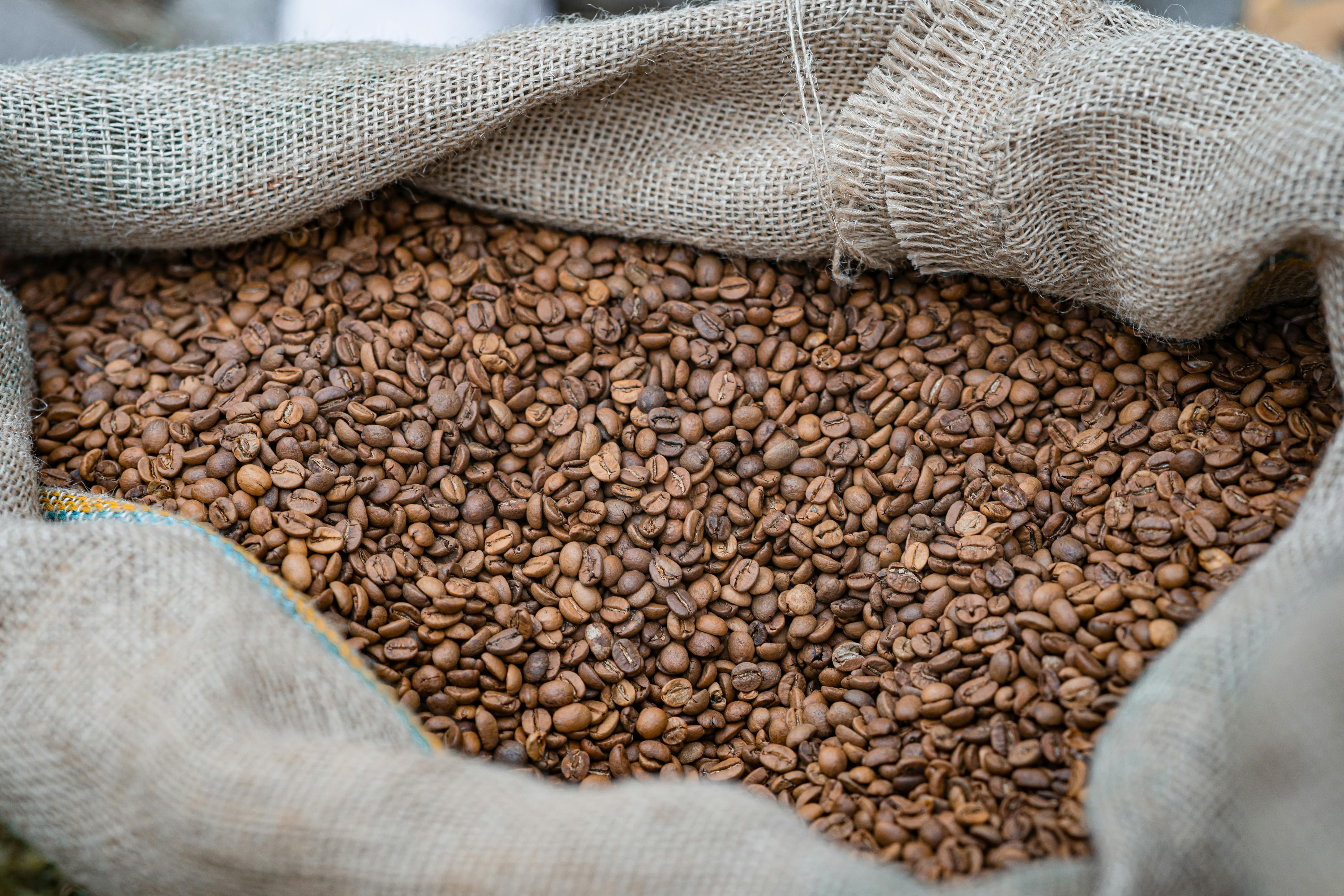Indian Coffee Export