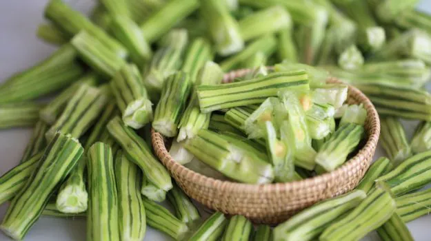 Moringa Export India