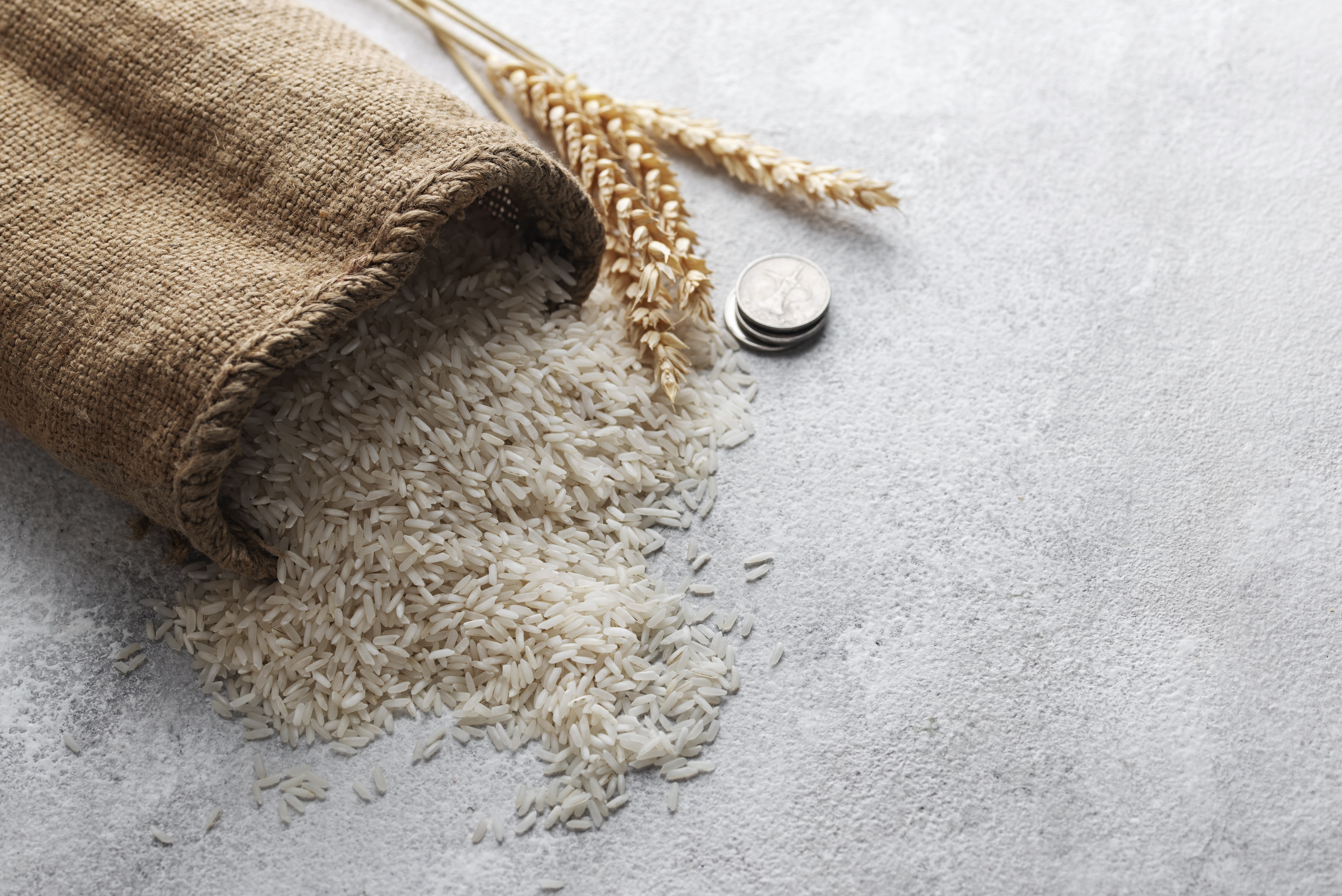 Non-Basmati Rice Export